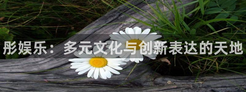 万向娱乐3：彤娱乐：多元文化与创新表达的天地