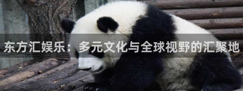 万向娱乐体育凯捷平台招商