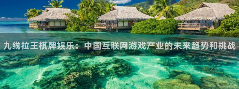 万向娱乐凯捷平台注册链接：九线拉王棋牌娱乐：中国互联网游戏产业的未来趋势和挑战
