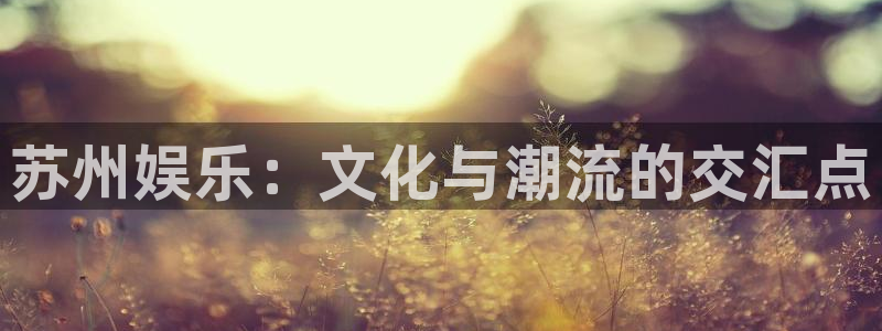 万向娱乐主管