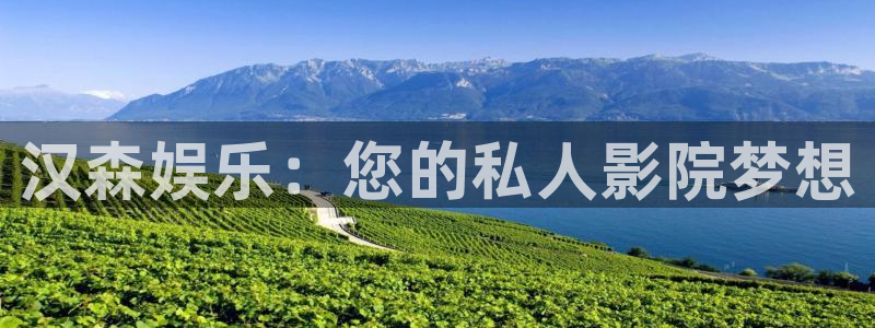 万向娱乐2平台登录：汉森娱乐：您的私人影院梦想