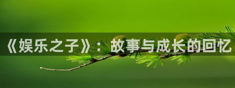 万向娱乐4官网：《娱乐之子》：故事与成长的回忆