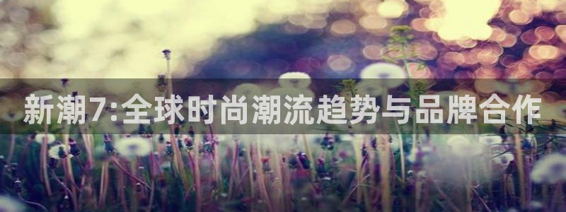 万向娱乐体育和杏耀是哪个公司的：新潮7:全球时尚潮流趋势与品牌合作