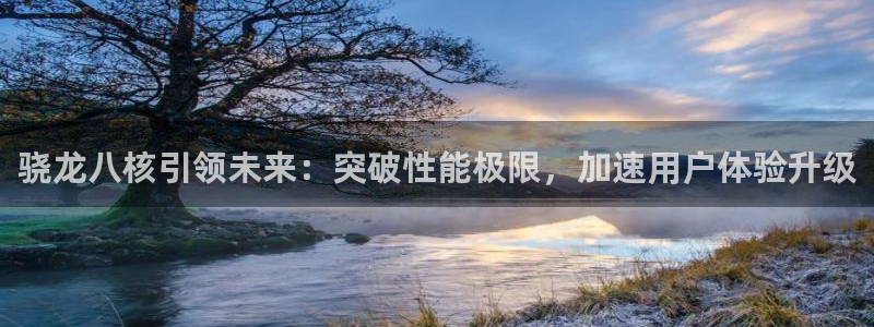 万向娱乐体育凯捷平台主管：骁龙八核引领未来：突破性能极限，加速用户体验升级