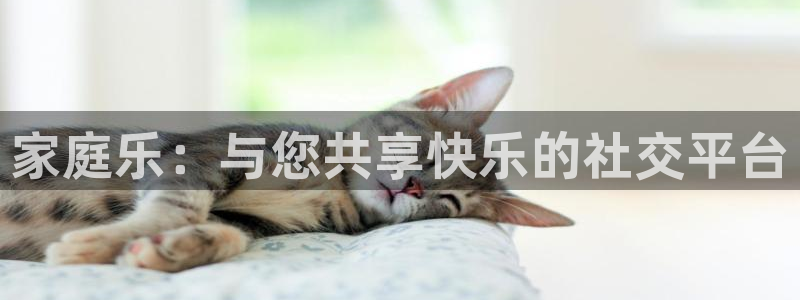 万向娱乐体育老板是谁：家庭乐：与您共享快乐的社交平台