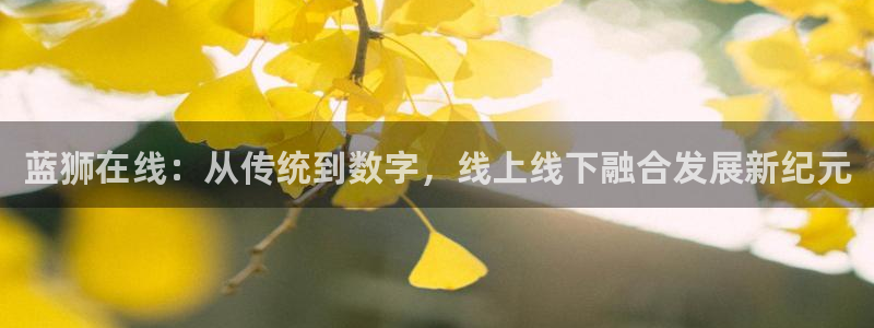 万向娱乐登陆：蓝狮在线：从传统到数字，线上线下融合发展新纪元