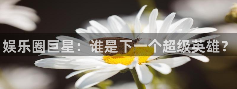 万向娱乐2平台登录：娱乐圈巨星：谁是下一个超级英雄？