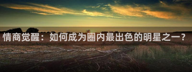 万向娱乐平台主管：情商觉醒：如何成为圈内最出色的明星之一？