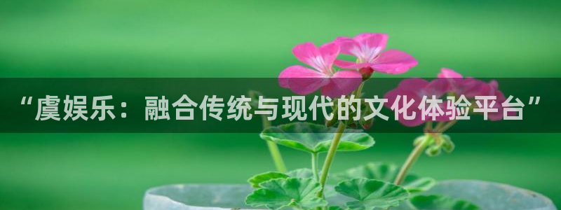 万向娱乐5：“虞娱乐：融合传统与现代的文化体验平台”