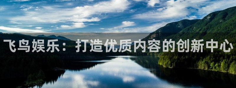 万向娱乐3代理：飞鸟娱乐：打造优质内容的创新中心