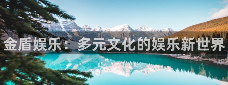万向娱乐平台：金盾娱乐：多元文化的娱乐新世界