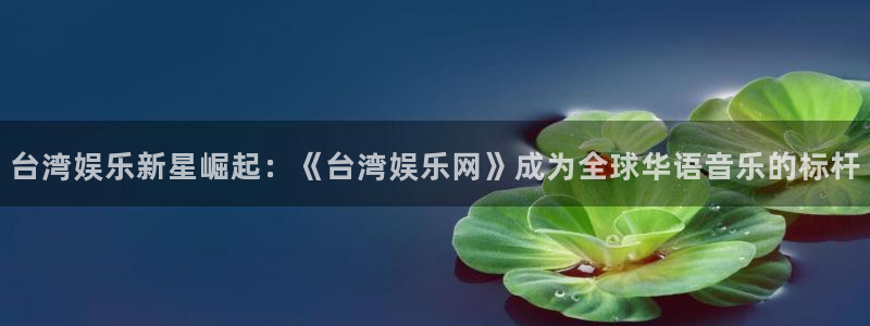 万向娱乐登录：台湾娱乐新星崛起：《台湾娱乐网》成为全球华语音乐的标杆