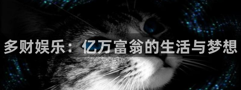 万向娱乐能源：多财娱乐：亿万富翁的生活与梦想