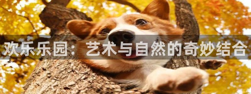 万向娱乐体育平台登录入口：欢乐乐园：艺术与自然的奇妙结合