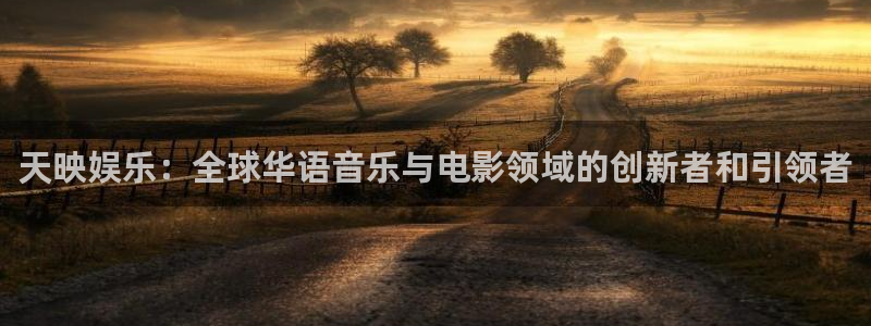万向娱乐凯捷平台：天映娱乐：全球华语音乐与电影领域的创新者和引领者