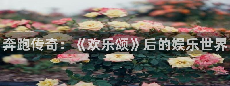 万向娱乐包怎么样：奔跑传奇：《欢乐颂》后的娱乐世界