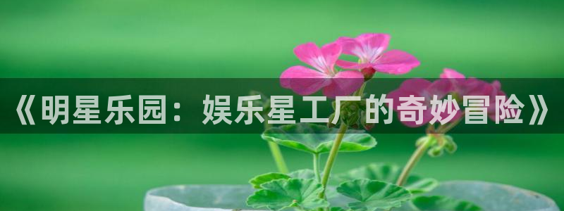 万向娱乐2官网：《明星乐园：娱乐星工厂的奇妙冒险》
