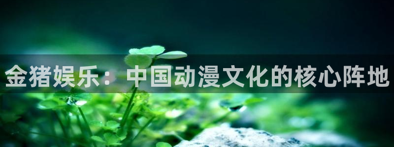 万向娱乐体育注册：金猪娱乐：中国动漫文化的核心阵地