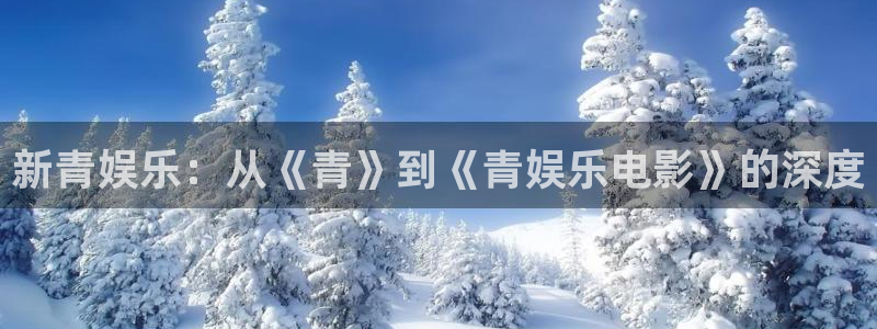 万向娱乐3注册：新青娱乐：从《青》到《青娱乐电影》的深度