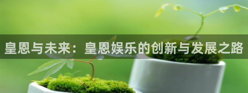 万向娱乐平台注册：皇恩与未来：皇恩娱乐的创新与发展之路