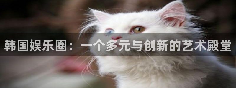 万向娱乐平台主管：韩国娱乐圈：一个多元与创新的艺术殿堂