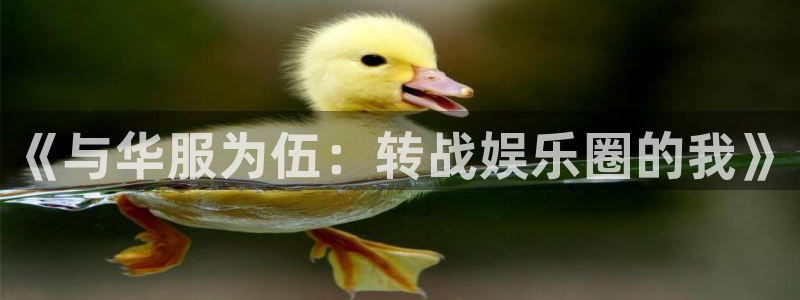 万向娱乐集团股票：《与华服为伍：转战娱乐圈的我》