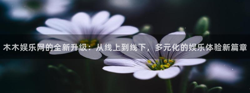 万向娱乐体育游戏：木木娱乐网的全新升级：从线上到线下，多元化的娱乐体验新篇章