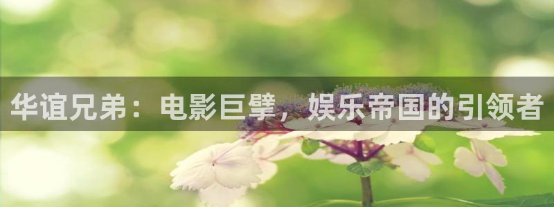 万向娱乐平台总代理：华谊兄弟：电影巨擘，娱乐帝国的引领者