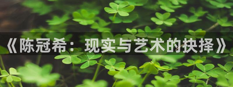 万向娱乐凯捷平台注册链接：《陈冠希：现实与艺术的抉择》