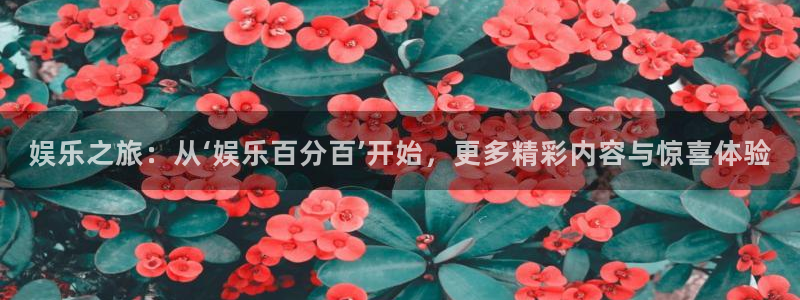 www.万向娱乐体育.com：娱乐之旅：从‘娱乐百分百’开始，更多精彩内容与惊喜体验
