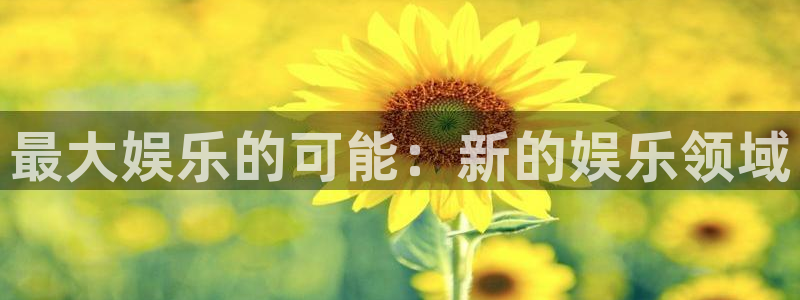 万向娱乐3登录：最大娱乐的可能：新的娱乐领域