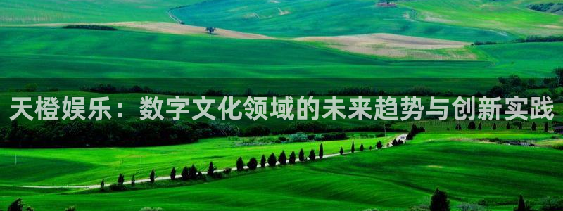 万向娱乐体育和杏耀是哪个公司的：天橙娱乐：数字文化领域的未来趋势与创新实践