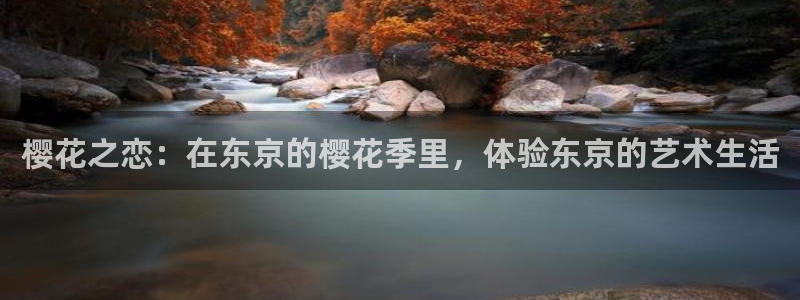 www.万向娱乐体育.com：樱花之恋：在东京的樱花季里，体验东京的艺术生活