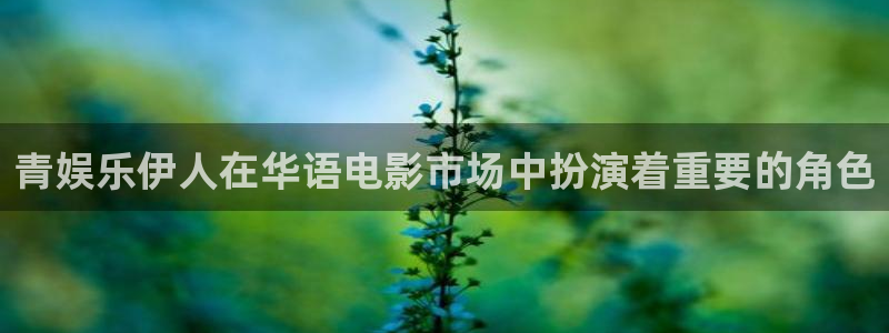 万向娱乐平台招商：青娱乐伊人在华语电影市场中扮演着重要的角色