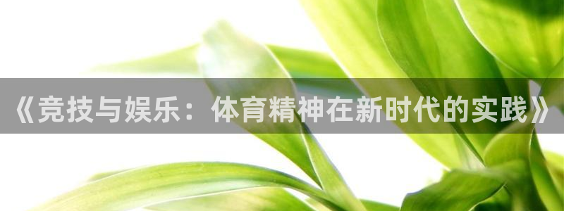 万向娱乐体育平台注册：《竞技与娱乐：体育精神在新时代的实践》