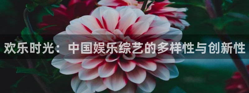 万向娱乐包怎么样：欢乐时光：中国娱乐综艺的多样性与创新性