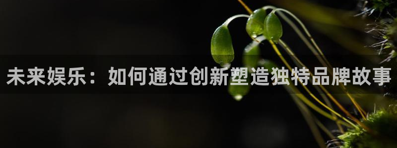 万向娱乐f平台注册：未来娱乐：如何通过创新塑造独特品牌故事